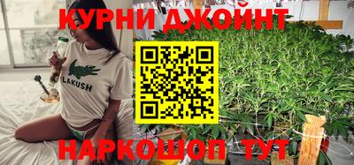 стаф Боровичи