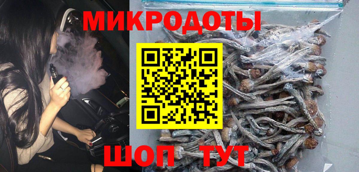 Псилоцибиновые грибы Psilocybine cubensis Лабинск