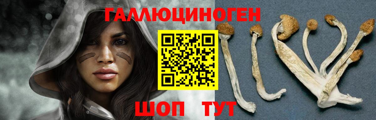 Галлюциногенные грибы Cubensis  Вход с VPN  Лабинск 